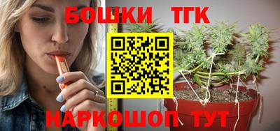 спиды Гагарин