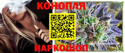 ALPHA PVP Гатчина