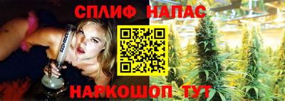 ALPHA PVP Гатчина
